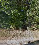 Negocio Northern Michigan House Wash