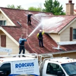 roof-pressure-washing-albion