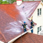 roof-pressure-washing-alexandria