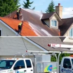 roof-pressure-washing-british-columbia