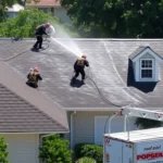 roof-pressure-washing-carpenter