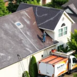 roof-pressure-washing-carson-city