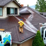 roof-pressure-washing-conifer