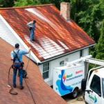 roof-pressure-washing-festus