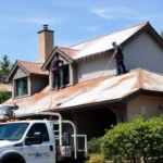 roof-pressure-washing-forest