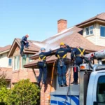 roof-pressure-washing-forest
