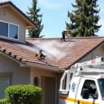 roof-pressure-washing-fresno