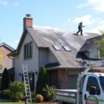 roof-pressure-washing-haslett