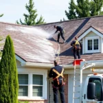 roof-pressure-washing-la-bellevue