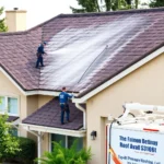 roof-pressure-washing-lodi
