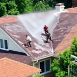 roof-pressure-washing-madison