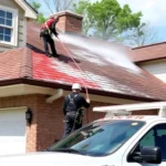 roof-pressure-washing-millsboro