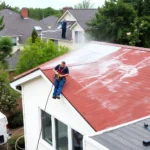 roof-pressure-washing-newton