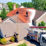 roof-pressure-washing-palestine-township