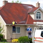 roof-pressure-washing-pestalozzi-st-st-louis