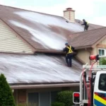 roof-pressure-washing-petal