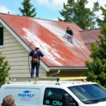 roof-pressure-washing-pickard-way-columbia