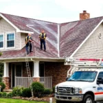roof-pressure-washing-pleasant-plains-township