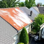 roof-pressure-washing-reading-township
