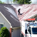 roof-pressure-washing-reedsville