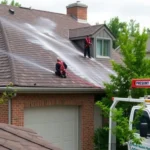 roof-pressure-washing-richburg