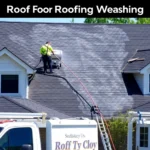 roof-pressure-washing-upper-providence-township