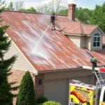 roof-pressure-washing-wauconda